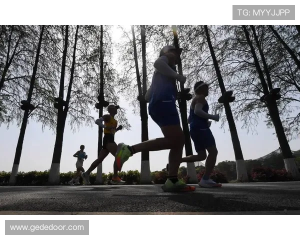 深圳攀岩队勇攀高峰的马拉松大满贯奋斗历程与精彩瞬间