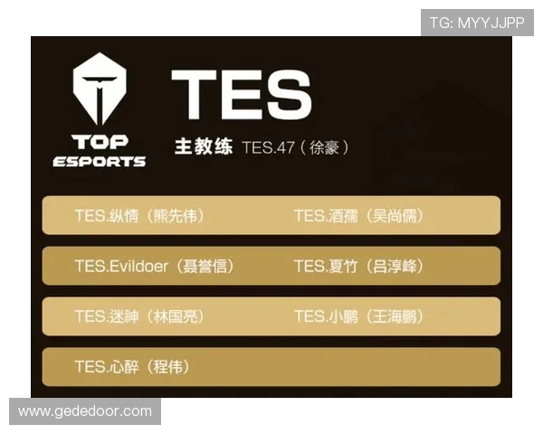 聚焦王者荣耀TES团队协作的成功秘诀与挑战分析