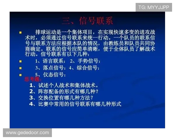 北京排球队进攻策略深度解析与战术创新探讨